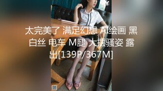 太完美了 满足幻想 AI绘画 黑白丝 电车 M腿 大摆骚姿 露出[139P/367M]