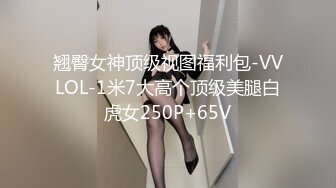 翘臀女神顶级视图福利包-VVLOL-1米7大高个顶级美腿白虎女250P+65V