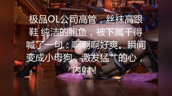 极品OL公司高管，丝袜高跟鞋 纯洁的鲍鱼，被下属干得喊了一句：啊啊啊好爽。瞬间变成小母狗，激发猛艹的心，内射！