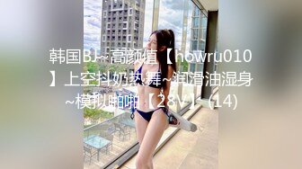 韩国BJ~高颜值【howru010】上空抖奶热舞~润滑油湿身~模拟啪啪【28V】 (14)