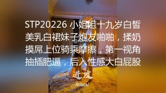 STP20226 小姐姐十九岁白皙美乳白裙妹子炮友啪啪，揉奶摸屌上位骑乘摩擦，第一视角抽插肥逼，后入性感大白屁股