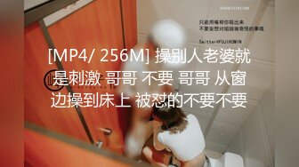 [MP4/ 256M] 操别人老婆就是刺激 哥哥 不要 哥哥 从窗边操到床上 被怼的不要不要