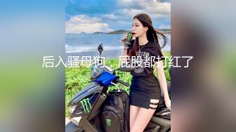 后入骚母狗，屁股都打红了