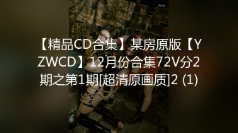 【精品CD合集】某房原版【YZWCD】12月份合集72V分2期之第1期[超清原画质]2 (1)