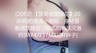 [2DF2] 【屌哥全国探花】2000约的漂亮小姐姐，身材苗条活泼健谈，花式啪啪战况激烈[MP4/137MB][BT种子]