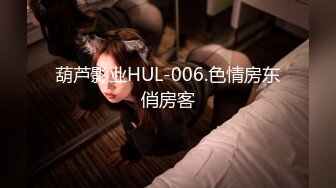 葫芦影业HUL-006.色情房东俏房客