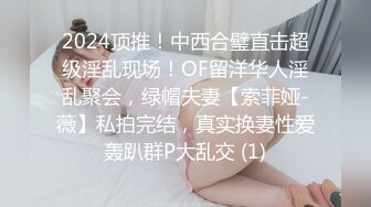 2024顶推！中西合璧直击超级淫乱现场！OF留洋华人淫乱聚会，绿帽夫妻【索菲娅-薇】私拍完结，真实换妻性爱轰趴群P大乱交 (1)