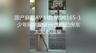 国产麻豆AV MD MD0165-1 少年阿宾篇章一 美艳的房东太太 苏语棠