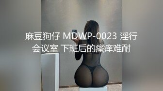 麻豆狗仔 MDWP-0023 淫行会议室 下班后的瘙痒难耐