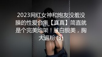 2023网红女神和炮友没羞没臊的性爱合集【真真】简直就是个完美炮架！肤白貌美，胸大逼粉 (3)