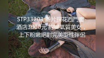 STP33203 新片探花西門慶-酒店3000元 約操氣質美女，上下粉嫩絕對完美型性伴侶