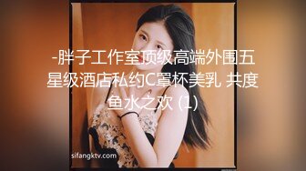 -胖子工作室顶级高端外围五星级酒店私约C罩杯美乳 共度鱼水之欢 (1)