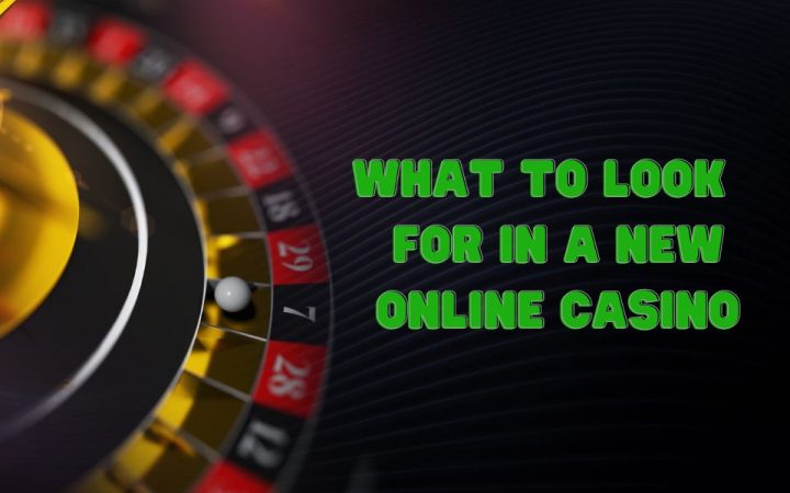 What to look for in a New Online Casino